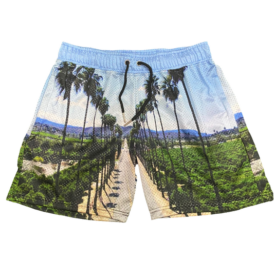 "LA" STREETS MESH SHORTS